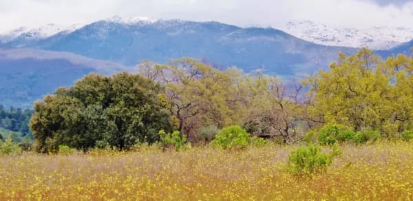 Finca de recreo de 6 ha en venta en Cáceres