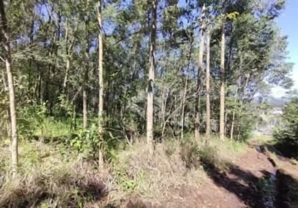 Fazenda rustica de 7,98 ha para venda em Rio grande do sul