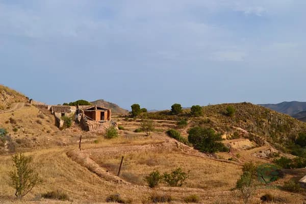 Spot image