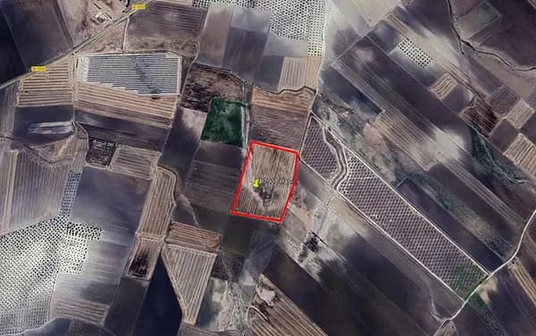 Finca agrícola de 4,8 ha en venta en Sevilla