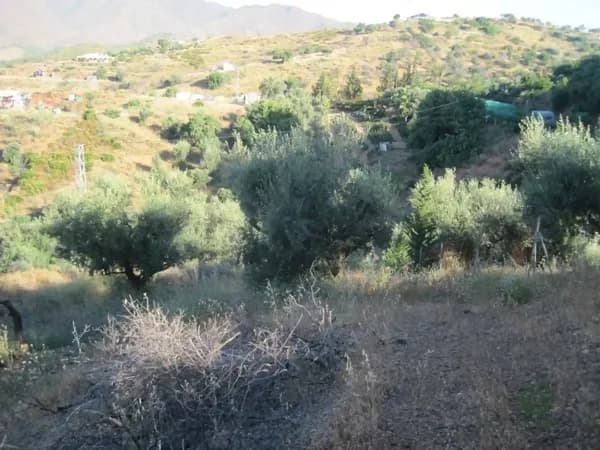 Finca agrícola de 2,07 ha en alquiler en Mijas, Malaga