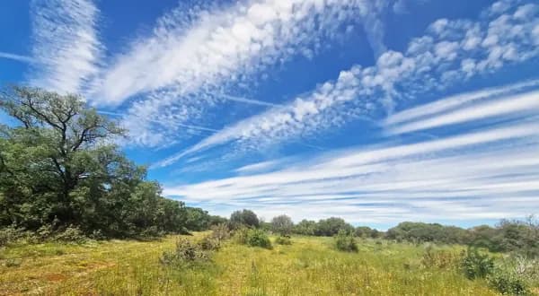 Finca rústica de 250 ha en venta en Valladolid