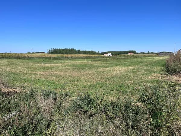 Finca agrícola de 1,637 ha en venta en León