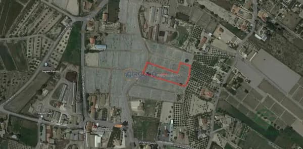 Spot image