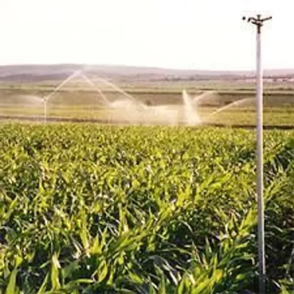 Finca agrícola de 10 ha en venta en Albacete