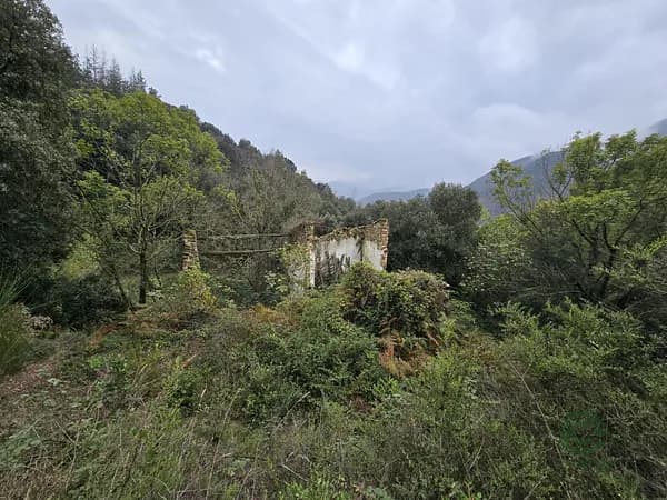Finca rústica de 2,3641 ha en venta en Osor, Girona