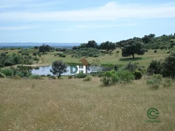 Finca rústica de 230 ha en venta en Cáceres