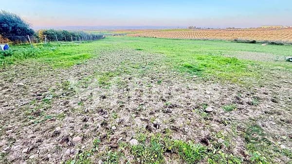 Finca rústica de 1,8 ha en venta en Carmona, Sevilla