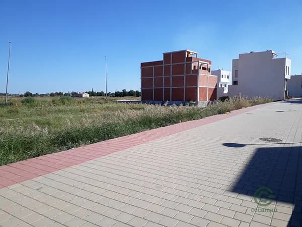 Spot image