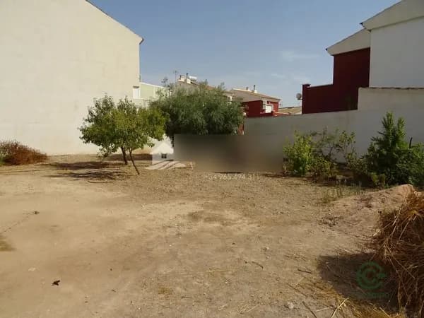 Spot image