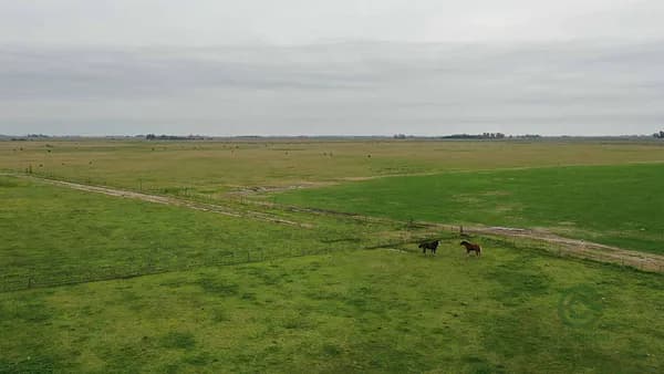 Finca ganadera de 498 ha en venta en Buenos aires