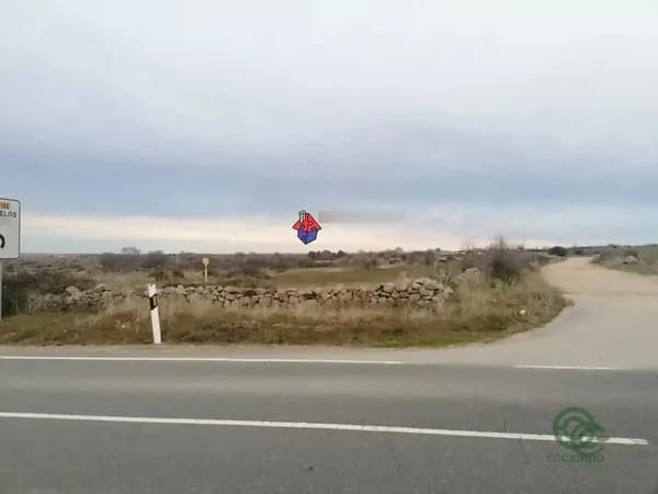 Spot image