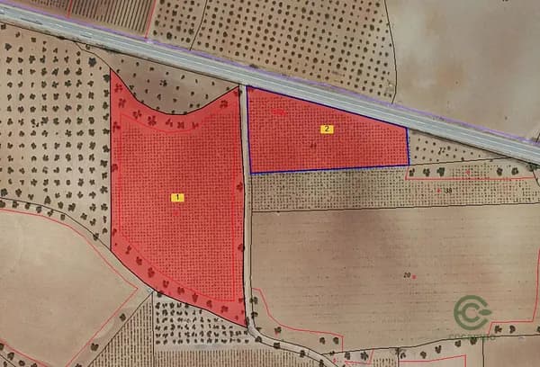 Finca agrícola de 2 ha en venta en Alhambra, Ciudad real