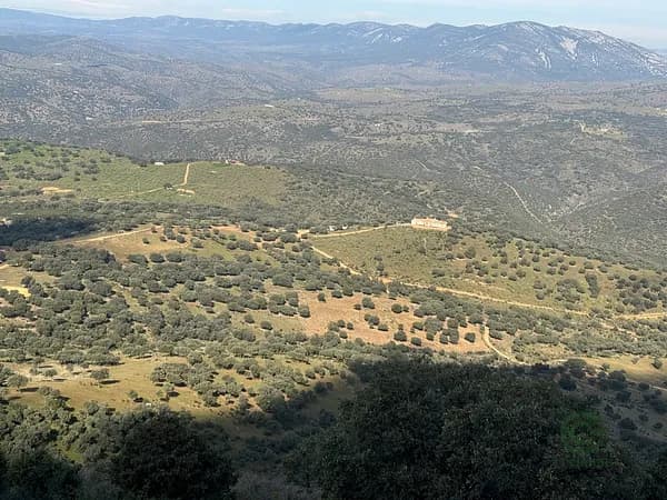 Spot image