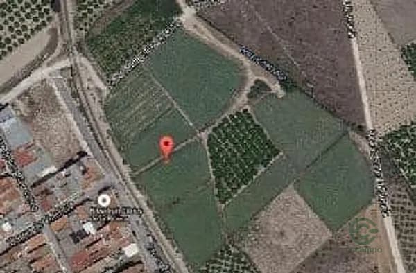 Spot image