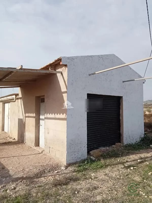 Spot image