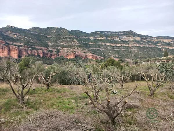 Finca agrícola de 0,2918 ha en venta en Bigues i riells, Barcelona