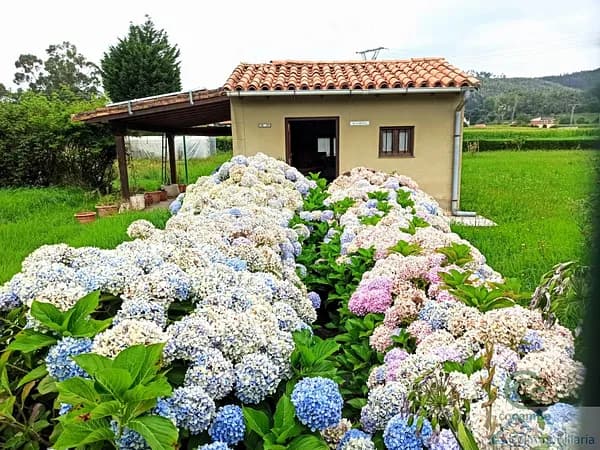 Finca rústica de 0,4004 ha en venta en Piélagos, Cantabria