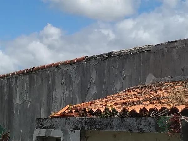 Finca rústica de 0,508 ha en venta en Pontevedra, Pontevedra