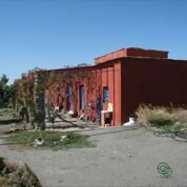 Spot image