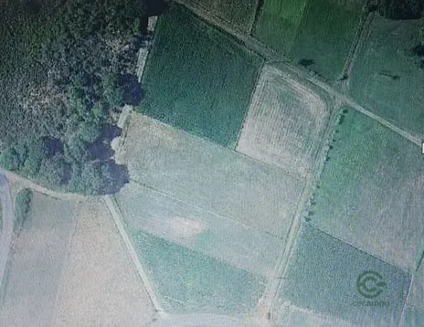 Finca rústica de 0,4 ha en venta en Pontevedra