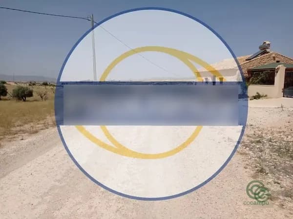 Spot image