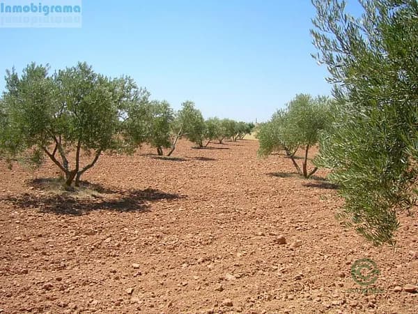 Finca rústica de 4570 ha en venta en Cádiz