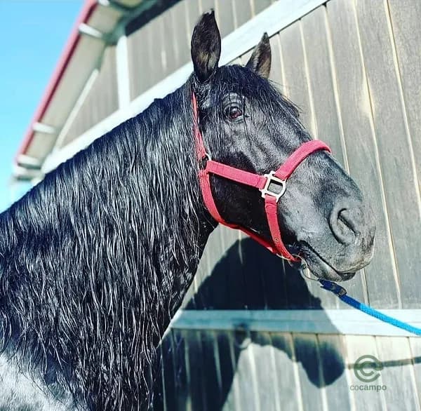 Recreation property of 1,57 ha for sale in Tarragona