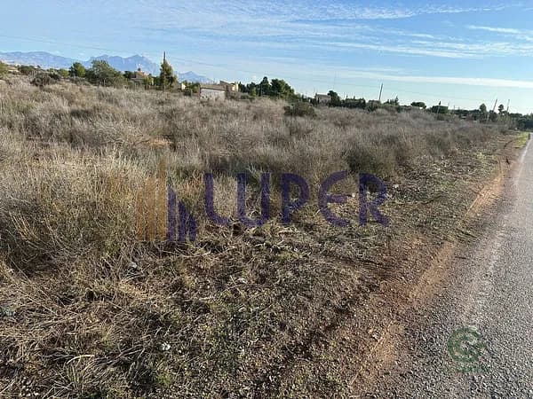 Finca rústica de 1,4 ha en venta en Alicante