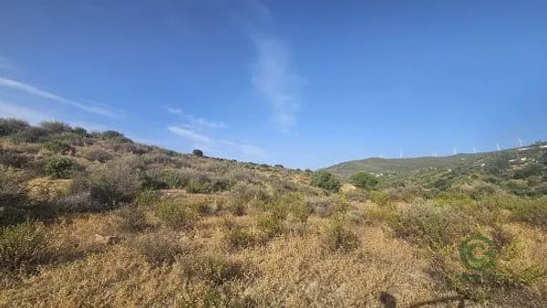 Finca agrícola de 6 ha en venta en Casares, Malaga