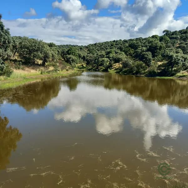 Finca rústica de 103 ha en venta en Madrid