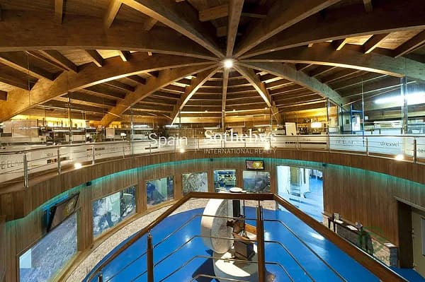 Spot image