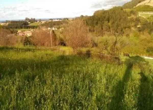 Finca agrícola de 0,12 ha en venta en Cudillero, Asturias