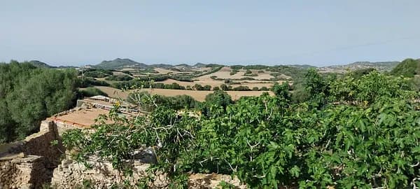 Finca rústica de 80 ha en venta en Islas baleares