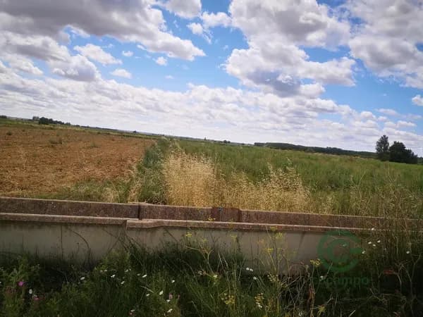 Finca agrícola de 1,4 ha en venta en León