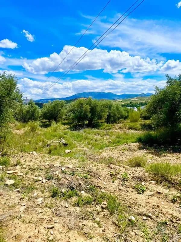 Finca agrícola de 0,3046 ha en venta en Velez-blanco, Almeria