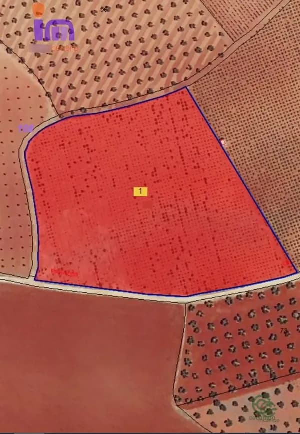 Finca agrícola de 2,23 ha en venta en Valdepenas, Ciudad real
