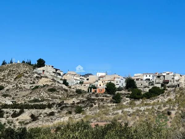 Spot image
