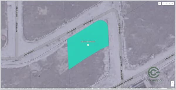 Spot image