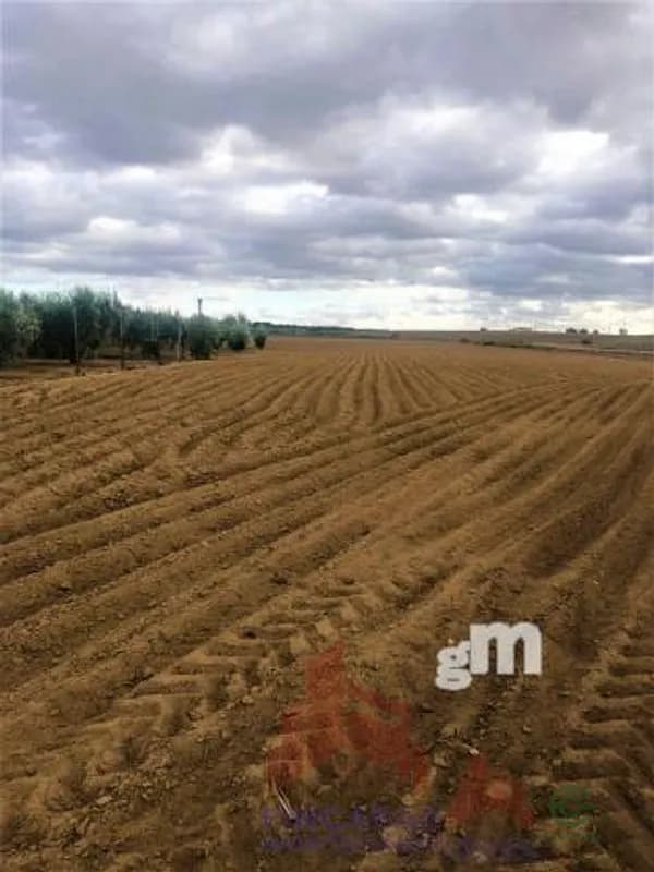 Finca agrícola de 6,63 ha en venta en Medellín, Badajoz