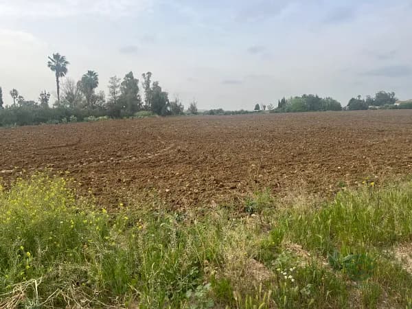 Finca rústica de 3,3 ha en venta en Cádiz