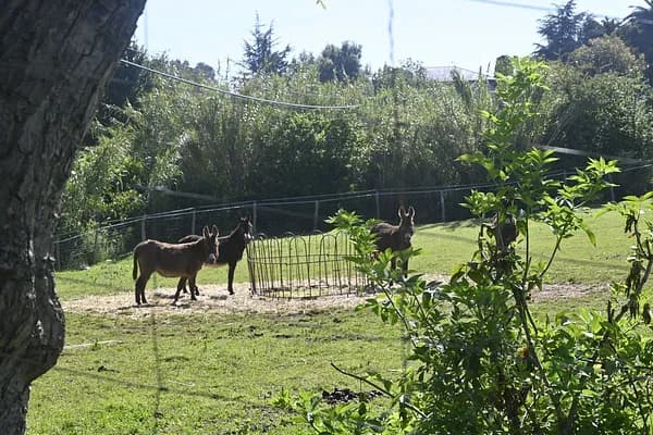 Finca ganadera de 0,1 ha en venta en Cantabria
