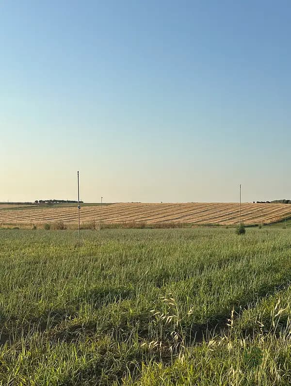 Finca agrícola de 16 ha en venta en Toledo