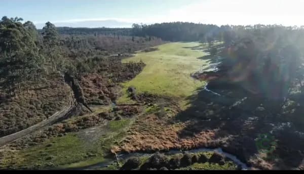 Finca rústica de 2 ha en venta en Pontevedra