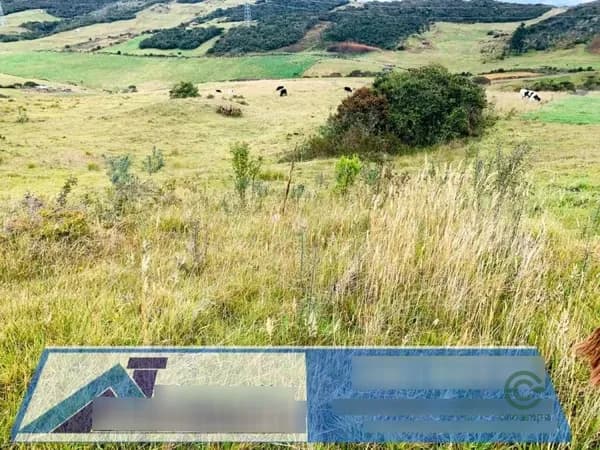 Finca ganadera de 3 ha en venta en Cañar