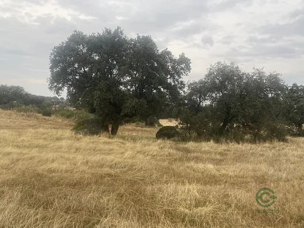 Finca agrícola de 28 ha en venta en Toledo