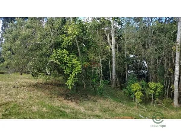 Terreno urbano de 0,25 ha en venta en Antioquia