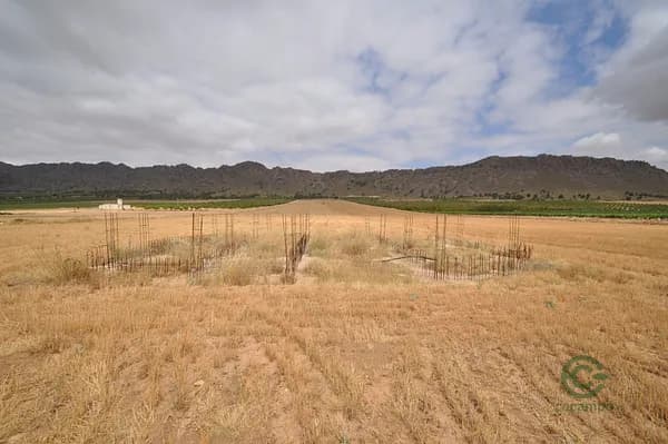 Finca rústica de 2,6 ha en venta en Yecla, Murcia