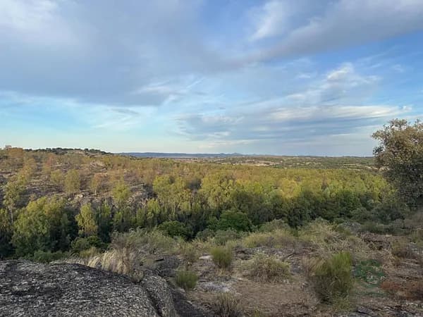 Finca rústica de 37 ha en venta en Cáceres