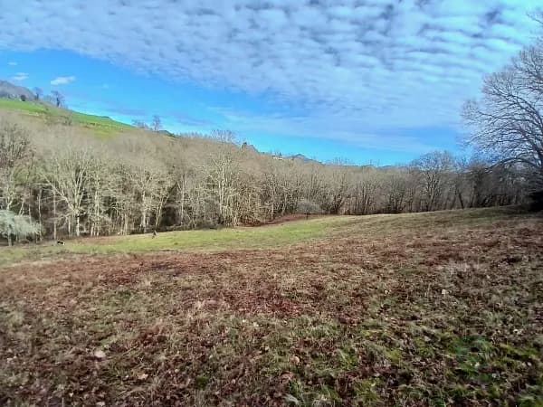 Finca rústica de 0,8 ha en venta en Asturias